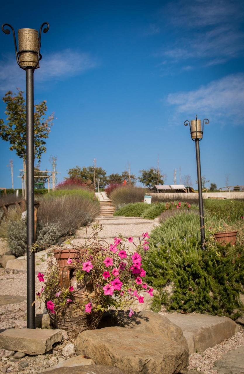 Farm stay San Silvestro