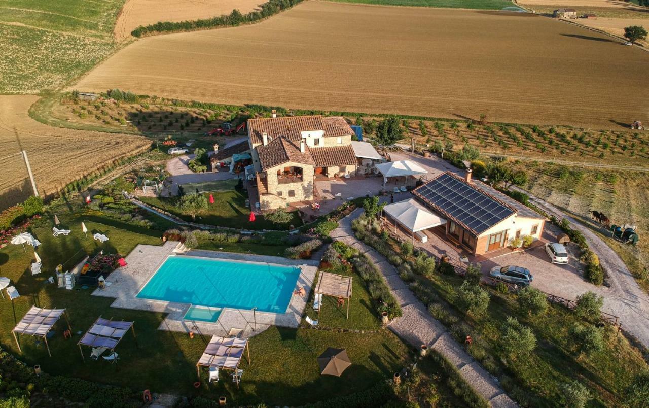 Farm stay San Silvestro *
